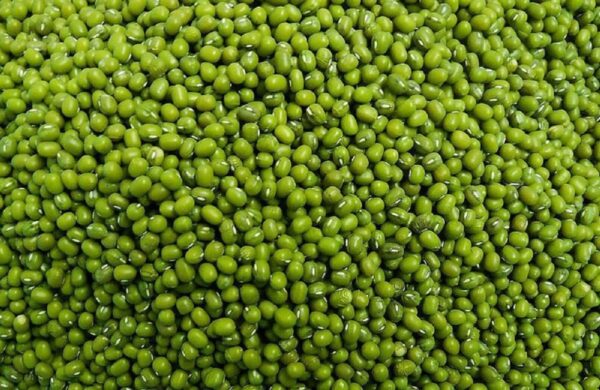 Green  Moong ( মগু )